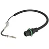 Image de Palpeur, température des gaz DINEX 51041