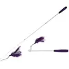 Image de Canne à pêche télescopique pour chat Ebi Violet 35/95 cm 408/430446