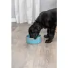 Image de Gamelle pour chien en céramique Trixie Bleu TU 25113