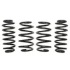 Image de Ressorts EIBACH Pro Kit E10-81-009-05-22