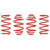 Image de Ressort de suspension EIBACH E20-65-001-01-22