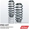 Image de Kit de suspension, ressorts EIBACH Pro-Kit E10-20-038-05-20