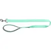 Image de Laisse pour chien Trixie Premium Vert L/XL 200324
