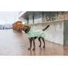 Image de Manteau pour chien imperméable Trixie CityStyle Dublin Vert S 680612