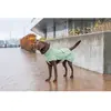 Image de Manteau pour chien imperméable Trixie CityStyle Dublin Vert S 680613