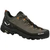 Image de Chaussures de randonnée Salewa Alp Trainer 2 Gore-Tex 45
