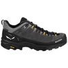 Image de Chaussures de Montagne Salewa Alp Trainer 2 Gtx M Homme Onyx/Noir 44 0000061400-0876