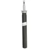 Image de Amortisseur SACHS 319 734