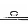 Image de Laisse pour chien avec colier Eskadron Noir S 491000-852-290