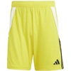 Image de Pantalons de Football adidas Tiro24 Homme Jaune M IS1409