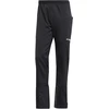Image de Pantalon adidas Terrex Xperior Fast Noir 44 IB1172