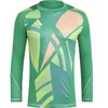 Image de Maillot de gardien manches longues adidas Tiro 24 Pro Vert L IS5350