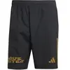 Image de Short adidas Pride Tiro Downtime Noir M IW3954