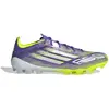 Image de Chaussures de football adidas F50 Elite 2G/3G AG Violet 46 JH7639