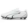 Image de Chaussures de football Puma Vitoria FG/AG Blanc 43 10748306WB9