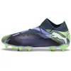 Image de Chaussures de football Puma Future Pro FG/AG Gris 44 107924-03
