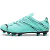 Image de Chaussures de football Puma Attacanto FG/AG Vert 43 10747710PB9