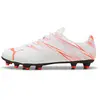 Image de Chaussures de football Puma Attacanto FG/AG Blanc 43 107477139