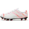Image de Chaussures de football enfant Puma Attacanto FG/AG Blanc 29 10748013J11