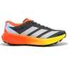 Image de Chaussures de trail adidas Terrex Agravic 4 - Femme - 39 1/3