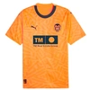 Image de Maillot de Football Puma Valencia C.F 3ème tenue Homme S 770305 18
