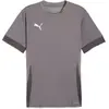 Image de Maillot Puma Teamgoal Matchday Gris L 705747-13