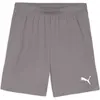 Image de Short Puma TeamGloal Gris S 705752-13