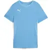 Image de Maillot femme Puma Teamgoal Matchday Bleu XS 705749-18