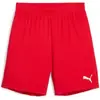 Image de Short d'entraînement enfant Puma TeamGoal Rouge 10 ans 705753-01