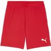 Image de Short Puma TeamGoal Rouge L 705752-01