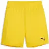 Image de Short enfant Puma TeamGoal Jaune 10 ans 705753-07