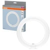 Image de Ampoule led classique, disque G10Q, 1320lm , blanc neutre, OSRAM