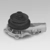 Image de Pompe à eau HEPU P319