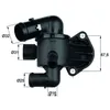 Image de Thermostat d'eau MAHLE TI 33 87