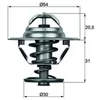 Image de Thermostat d'eau MAHLE TX 10 88D