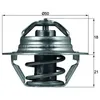 Image de Thermostat d'eau MAHLE TX 100 89D