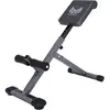 Image de Banc de musculation pour dos Gyronetics