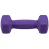 Image de Haltère de remise en forme Punch Violet 2 kg 112001-3016