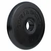 Image de Disques de musculation en caoutchouc 30/31 mm 1,25 KG Gorilla Sports