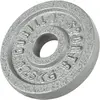 Image de Disque de poids en fonte 30/31 mm Argent / 1,25 KG Gorilla Sports