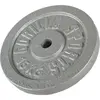 Image de Disque de poids en fonte 30/31 mm Argent / 15 KG Gorilla Sports