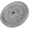 Image de Disque de poids en fonte 30/31 mm Argent / 20 KG Gorilla Sports