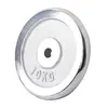 Image de Disques de musculation en fonte chromés 30/31 mm 10 KG Gorilla Sports