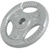 Image de Disque musculation fonte 30/31 mm ou 50/51 mm avec poignées Argent / 30mm / 5 KG Gorilla Sports