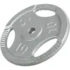 Image de Disque musculation fonte 30/31 mm ou 50/51 mm avec poignées Argent / 30mm / 10 KG Gorilla Sports