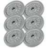 Image de Disque de poids en fonte 30/31 mm Argent / SET 30KG (6x5 KG) Gorilla Sports