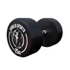 Image de Haltère rond en caoutchouc 25 KG Gorilla Sports