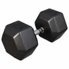 Image de Haltère hexagonal 45 KG Gorilla Sports