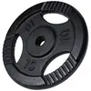 Image de Disque musculation fonte 30/31 mm ou 50/51 mm avec poignées Noir / 30mm / 10 KG Gorilla Sports