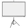 Image de Acer T87-S01MW, Manuel, 2,21 m (87'), 174 cm, 130 cm, 4:3, Blanc MC.JBG11.00F